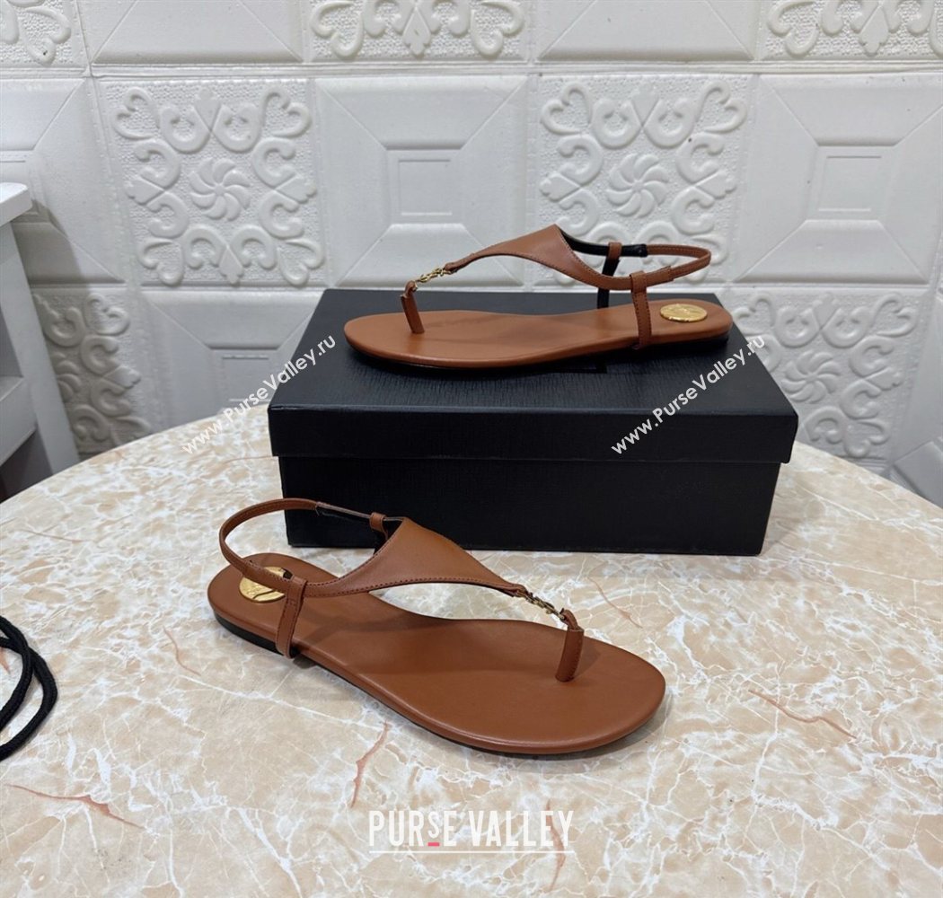 Saint Laurent Cassandra Flat Thong Sandals in Calfskin Brown 2025 841570 (MD-250825130)