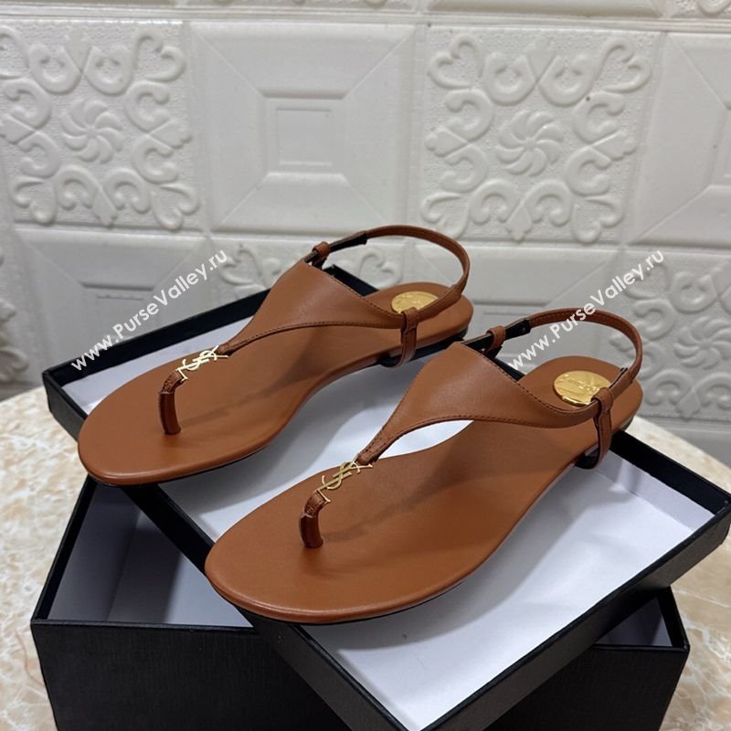 Saint Laurent Cassandra Flat Thong Sandals in Calfskin Brown 2025 841570 (MD-250825130)