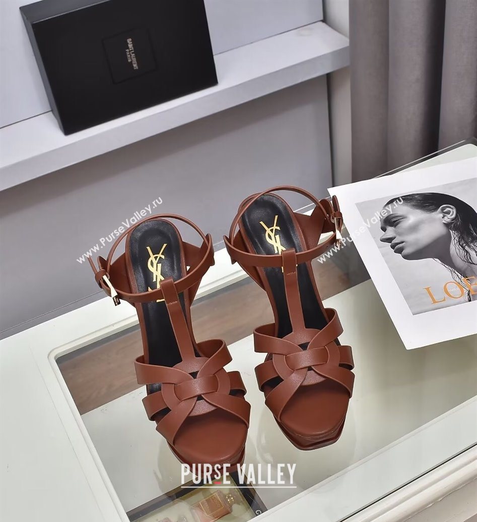 Saint Laurent Tribute Platform Sandals 14cm in Calf Leather Dark Brown 2025 (GDX-251028143)