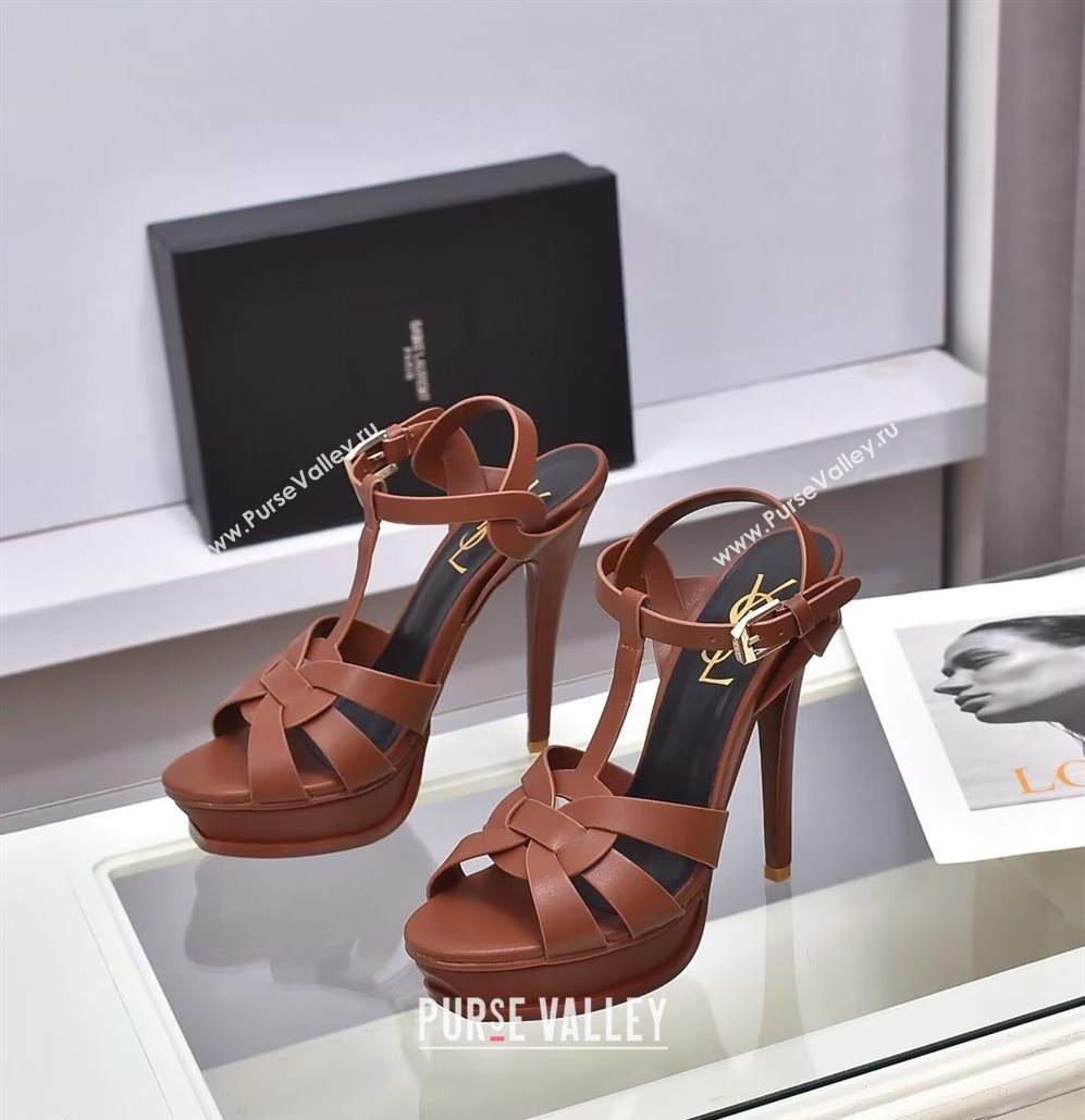 Saint Laurent Tribute Platform Sandals 14cm in Calf Leather Dark Brown 2025 (GDX-251028143)