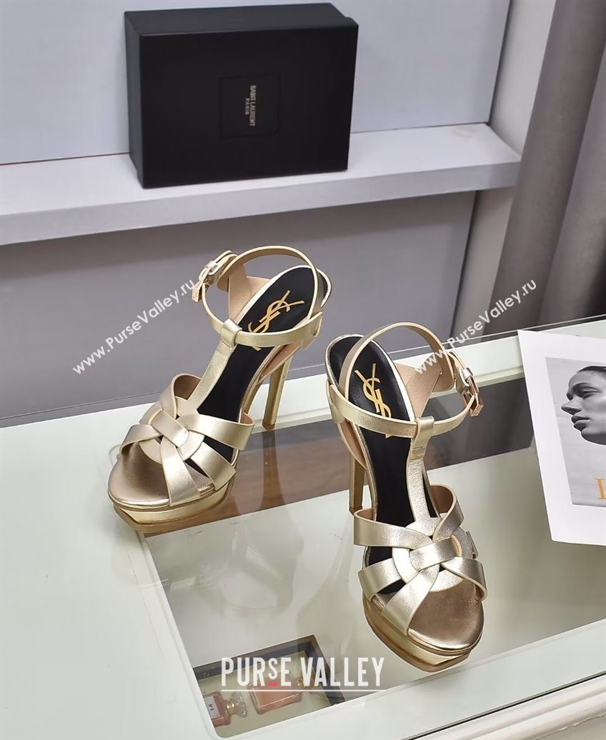 Saint Laurent Tribute Platform Sandals 14cm in Calf Leather Gold 2025 (GDX-251028146)