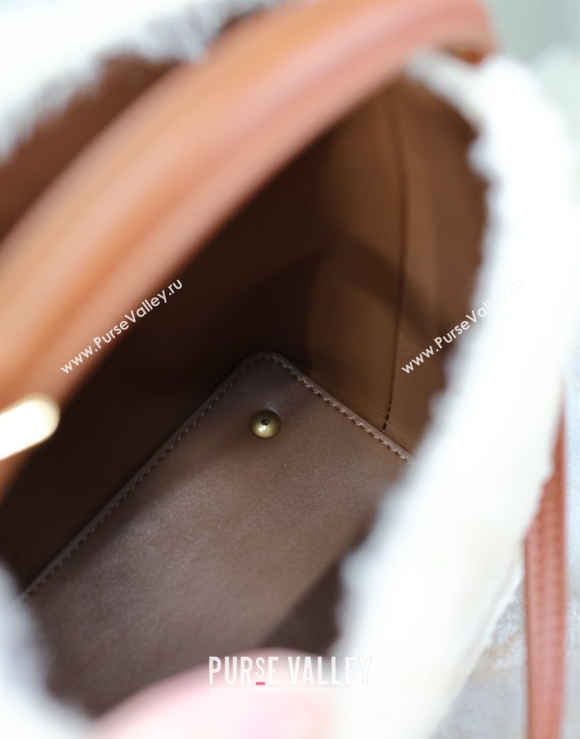 Saint Laurent LE 37 Mini Bucket Bag in Shearling Cream White 765870 2025 (YY-251120021)