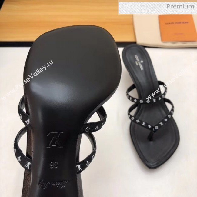 Louis Vuitton Satin and Calfskin Citizen Thong Sandal Black 2020 (MD-20050648)
