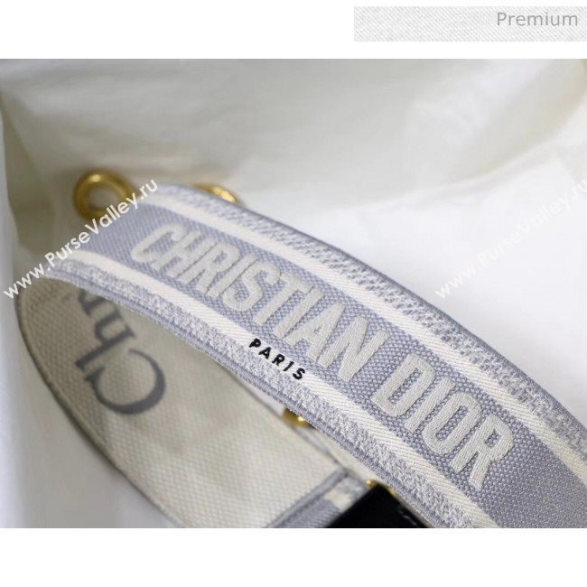 Dior Christian Dior Embroidered Strap Gray 2020 (XXG-20042947)