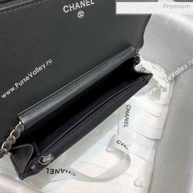 Chanel Calfskin Chain CHANEL Wallet on Chian WOC Black 2020 (JY-20062923)