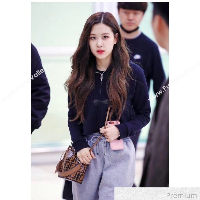 Fendi Mon Tresor Mini FF Leather Bucket Bag Brown/Black 2019 (AFEI-20071013)