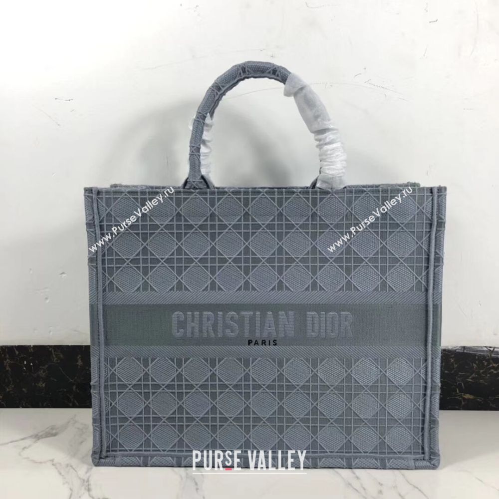 DIOR BOOK TOTE BAG IN EMBROIDERED CANVAS C1286 grey blue