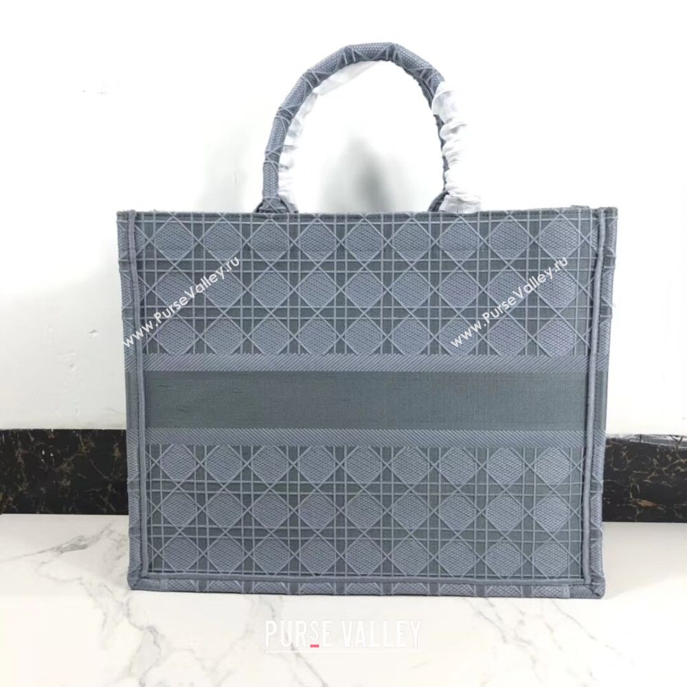 DIOR BOOK TOTE BAG IN EMBROIDERED CANVAS C1286 grey blue