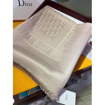 DIOR OBLIQUE CASHMERE C402 grey