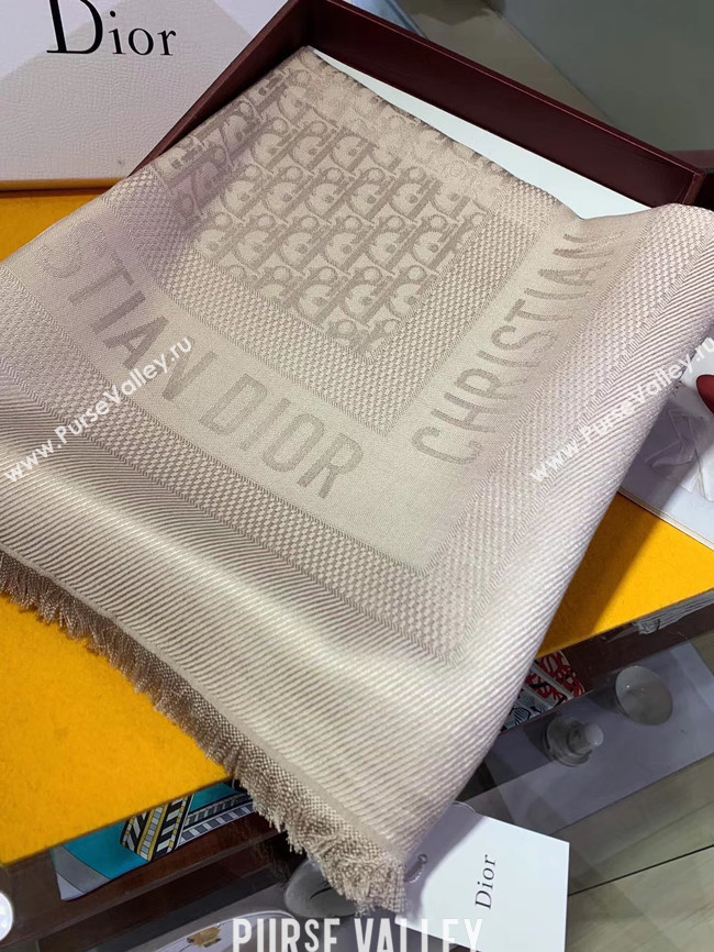 DIOR OBLIQUE CASHMERE C402 grey