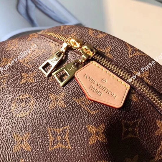 Louis vuitton  monogram canvas BUMBAG M43644